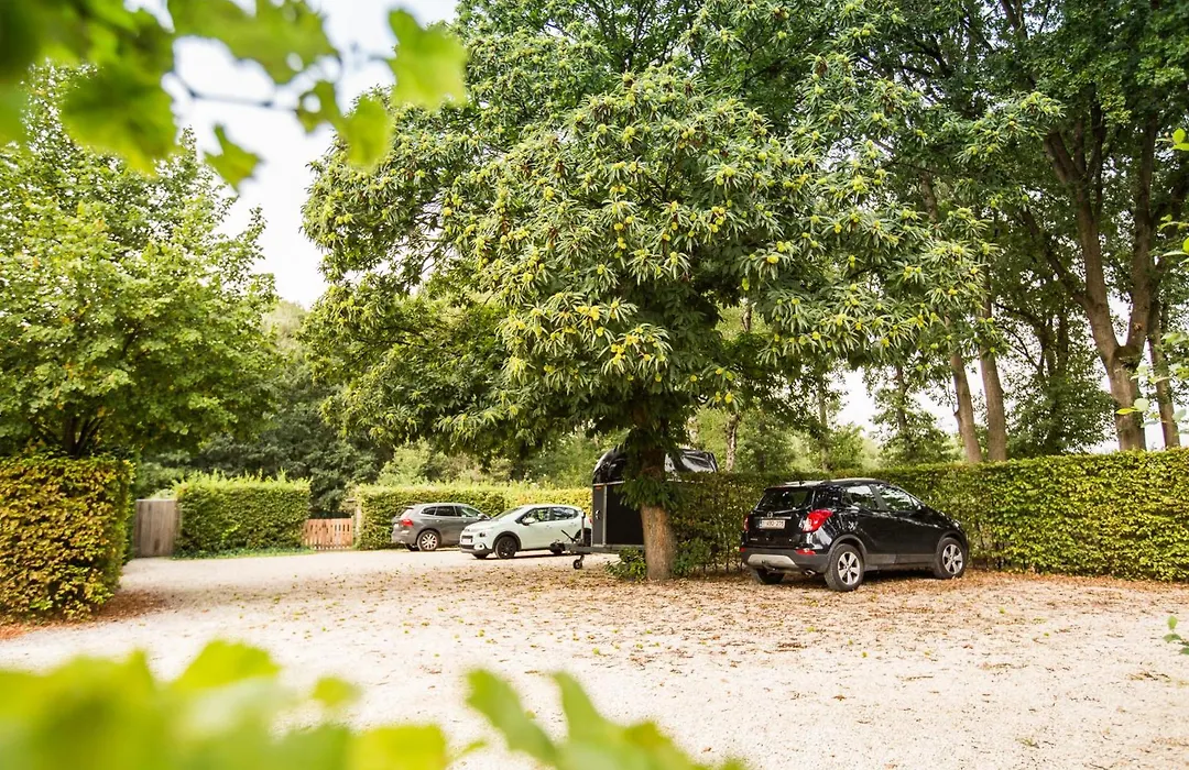Wellness Hasselt B&B-1